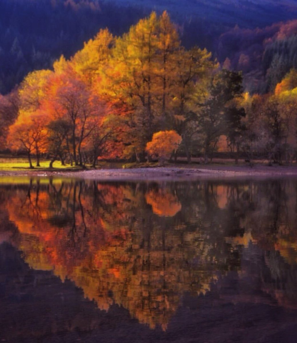 Autumnal reflections at Loch Ard. <a href="/VisitScotland/">VisitScotland</a> <a href="/BeingScots/">Being Scottish</a> <a href="/StormHour/">#StormHour</a> <a href="/Scottish_Banner/">The Scottish Banner</a> <a href="/ScotsMagazine/">ScotsMagazine</a> <a href="/BBCScotland/">BBC Scotland</a> <a href="/STVNews/">STV News</a> <a href="/practphoto/">Practical Photo Mag</a> <a href="/AP_Magazine/">Amateur Photographer</a> <a href="/DPhotographer/">Digital Photographer Magazine</a> <a href="/Scottish_Banner/">The Scottish Banner</a> <a href="/SocietyScottish/">Society of Scottish Landscape Photographers</a> <a href="/on_landscape/">on_landscape</a>