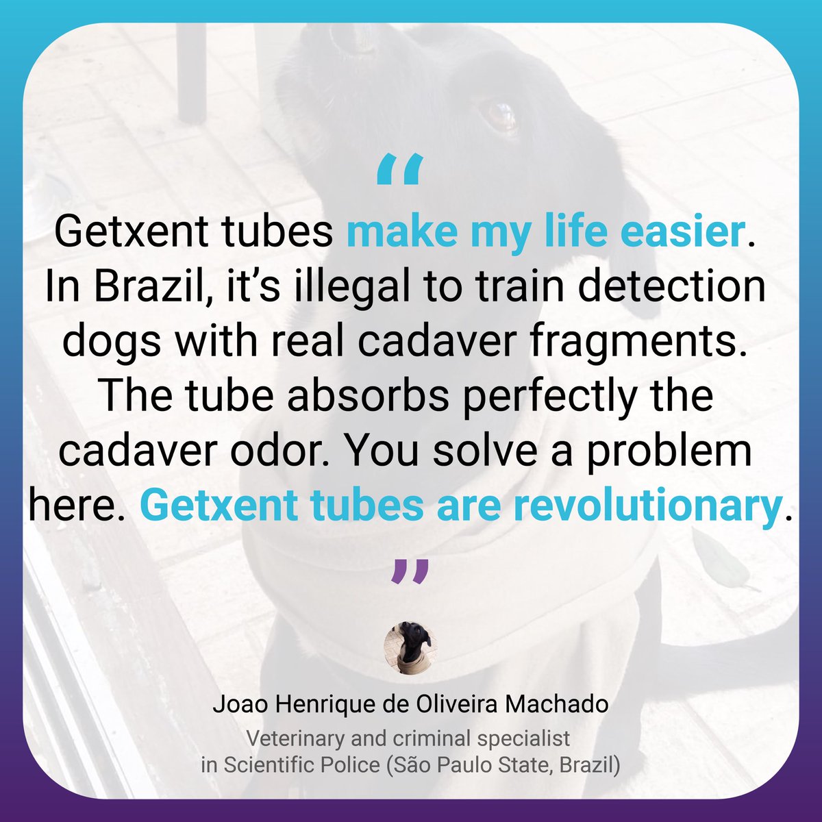 getxent's tweet photo. Getxent makes #dogtrainers life easier. Joao trains his dog to detect cadaver easily thanks to the Getxent tubes. Welcome to #getxentdetectiondog !   #detectiondog #k9detection #workingdog #scentdog #brazil https://t.co/Cw8y3qFWUr