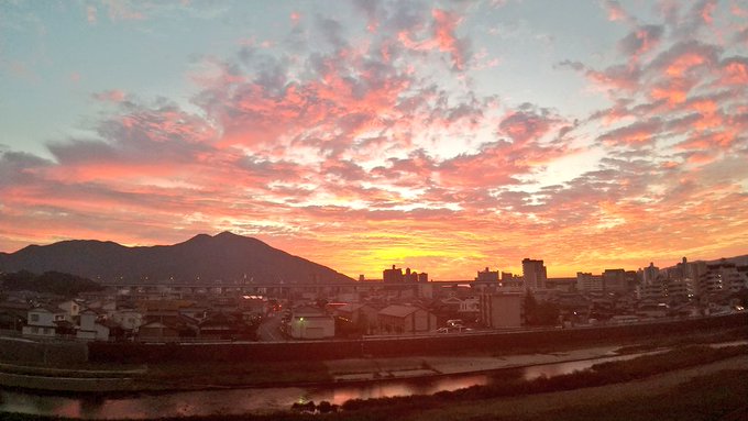 なんか、すごく赫かったので思わず撮った 