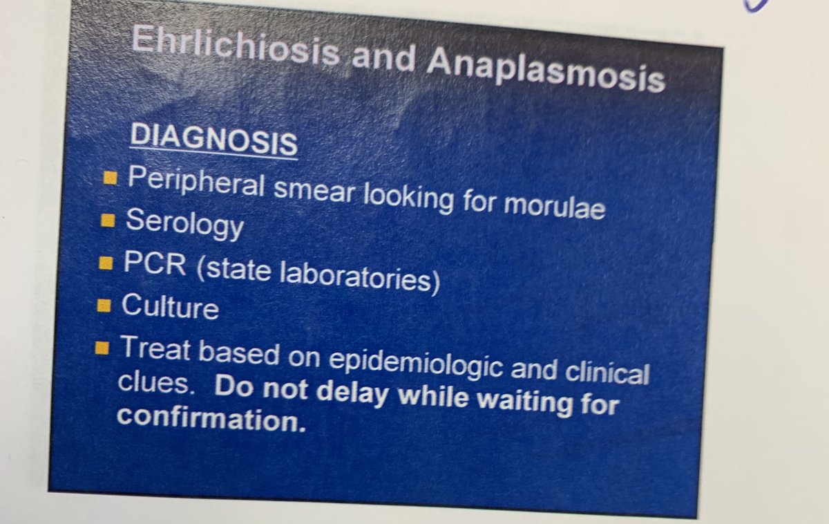 Clinical Pearl of the Day for my Twitter friends :Diagnosing Ehrlichiosis and Anaplasmosis: Morulae. <a href="/AmyLaurenCohen1/">Amy L Cohen DO</a> <a href="/MelissaRubin17/">Melissa Rubin</a> <a href="/KNamjouyan/">Kamran Namjouyan</a> <a href="/S_Panaccione/">Sophia Panaccione</a> <a href="/IceTeaMD/">Isaac Tea</a> <a href="/Phari/">Phari</a> <a href="/AmandaLongDO/">Amanda Long</a> @tomoliveronc @PhillipJGaryMD <a href="/gudr123/">gudr doc</a> <a href="/katz_do/">Richard Katz DO</a> <a href="/MaddyCunningh14/">Maddy Cunningham</a> <a href="/EBondarsky/">Eric Bondarsky</a> <a href="/mashakir_md/">M. Abubakar Shakir MD</a>