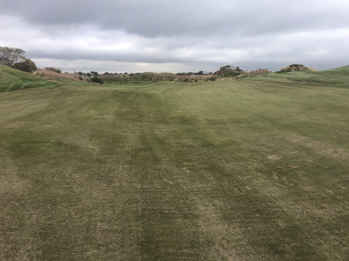 TheFredcoGroup tweet media