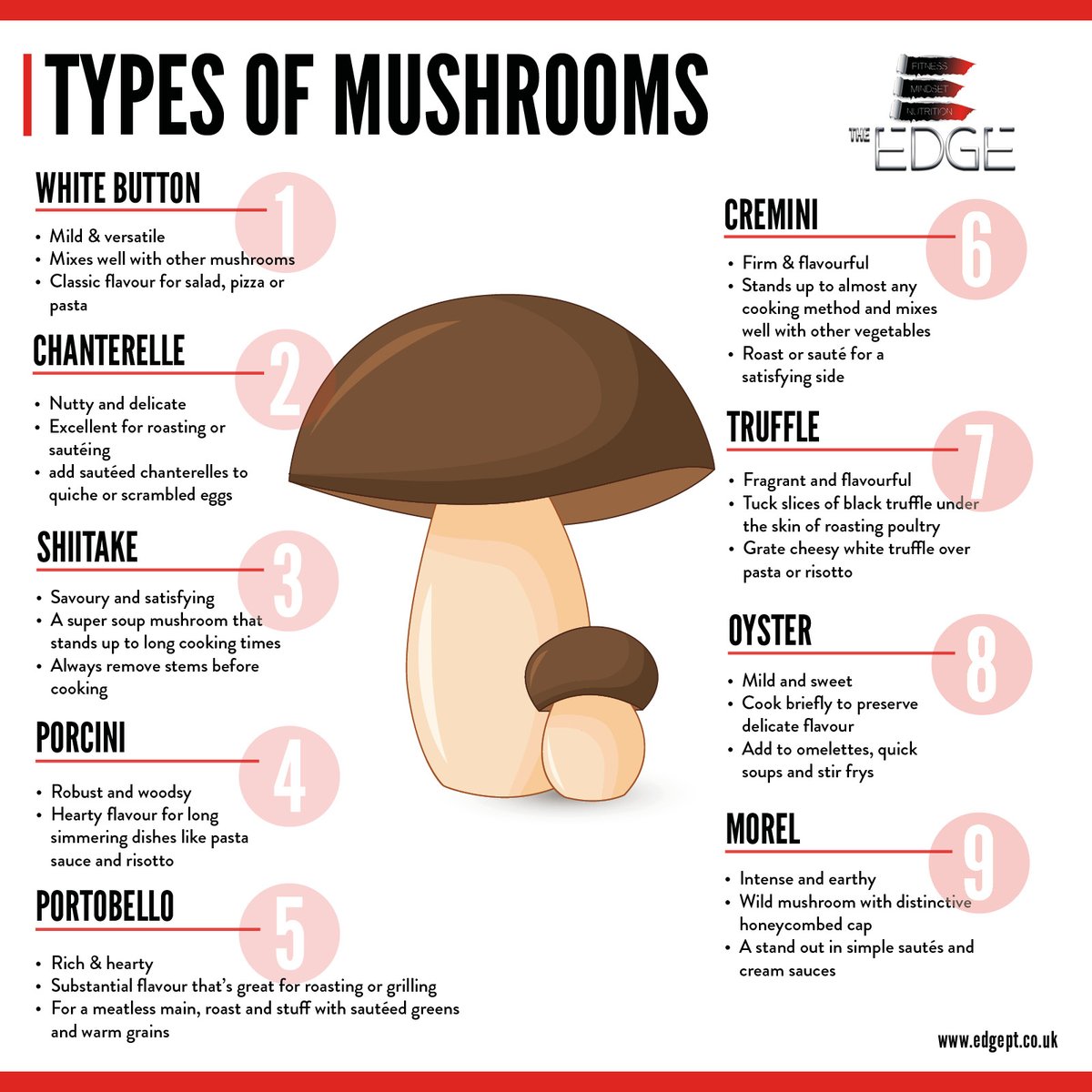 PaulGreavesPT's tweet photo. Here's a little breakdown of the different types of mushrooms and the type of dishes they're best suited to. https://t.co/fc5OmXHNXz