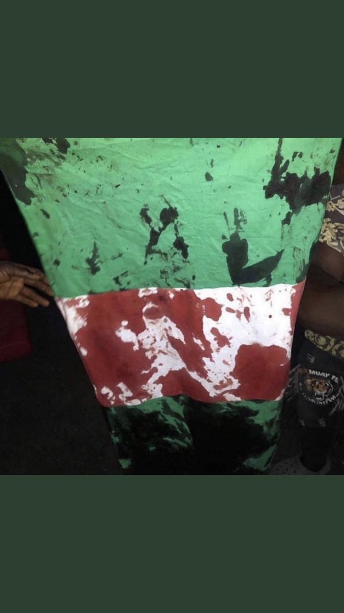 WebsterSibanda5's tweet photo. Prayers to my Nigerian 🇳🇬 Brothers &amp; Sisters tonight.
#EndSARS 
#EndBadGoveranceInNigeria 
#EndPoliceBrutalityinNigeraNOW https://t.co/XfFY5g7uSR
