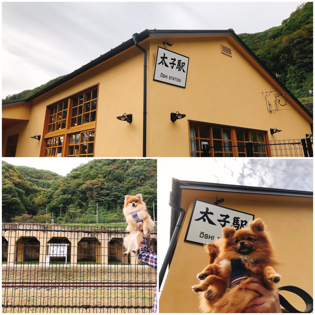 車中泊の旅 車中泊の旅