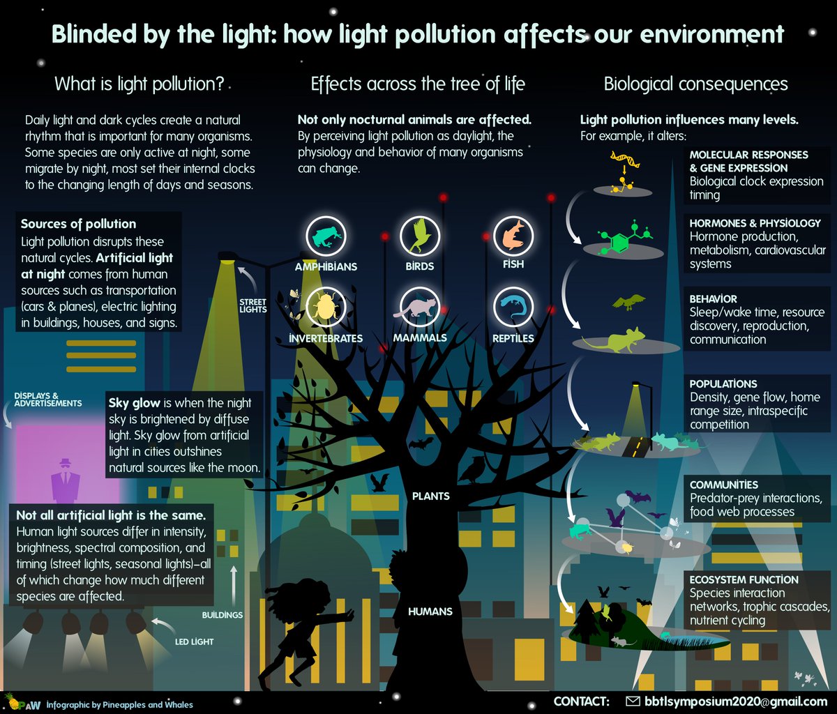 ColleenEcology's tweet photo. Interested in light pollution? Reach out to talk about our upcoming SICB symposium "Blinded by the Light: Effects of Light Pollution Across Diverse Natural Systems" this coming January!  @Vale_Alaasam @RattleCall @DrCDFrancis @MeKernbach @PaW_sci https://t.co/zPpUD1KlH7