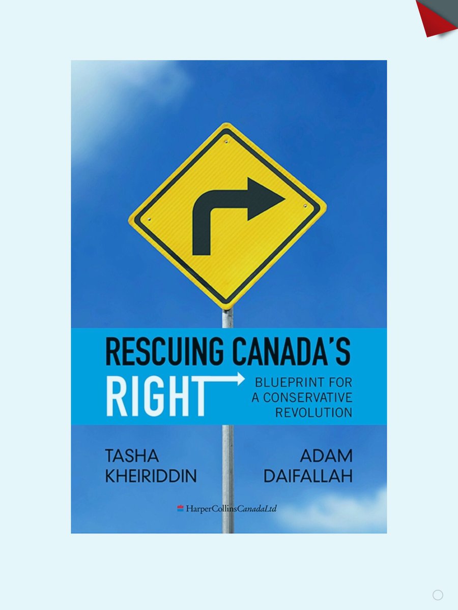 This is what Harper and the Reform’s and Alliance’s party members did to Canada. They intentionally created chaos within the Canadian political and economic system. They followed a detailed plan. I have a copy of the plan that was quietly published in 2005. Here is the cover: