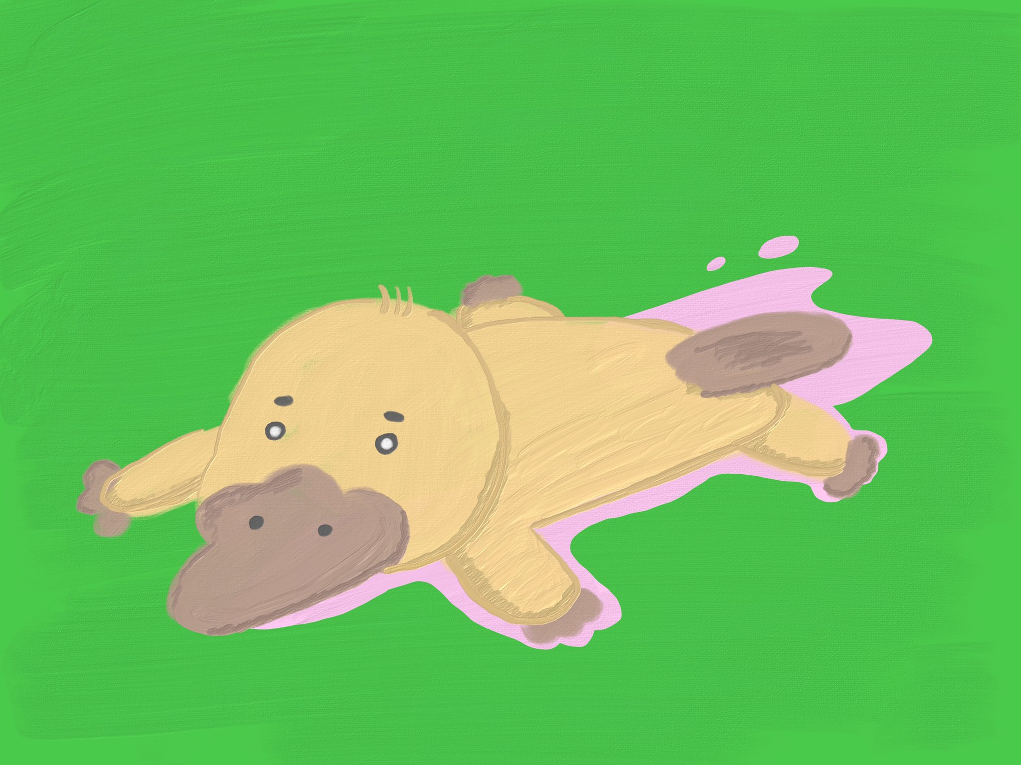 Aki イラストレーター 平べったく寝ているカモノハシ イラスト イラストレーター 動物 カモノハシ オリジナルキャラクター かわいい 絵描きさんと繫がりたい イラスト好きな人と繋がりたい Aki イラストレーター 平べったく寝ているカモノハシ イラスト イラストレーター 動物 カモノハシ オリジナルキャラクター かわいい 絵描きさんと繫がりたい イラスト好きな人と繋がりたい