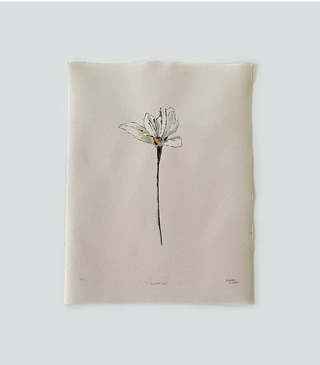 motillabermudez's tweet photo. Raza ando vendiendo mis litografías de flores para seguir con este mismo proyecto que serán en total 100 flores diferentes y pues estan echas con mucho gusto de mi parte asi que si a alguien le interesa comprar una me puede mandar dm o al menos dar un rt 🙏🙃🙃🙃. https://t.co/1ittQ5em5w