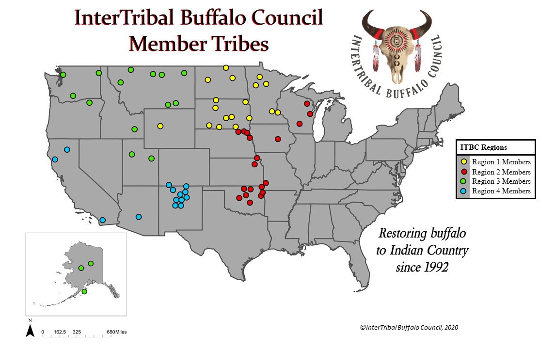 InterTribal Buffalo Council tweet media