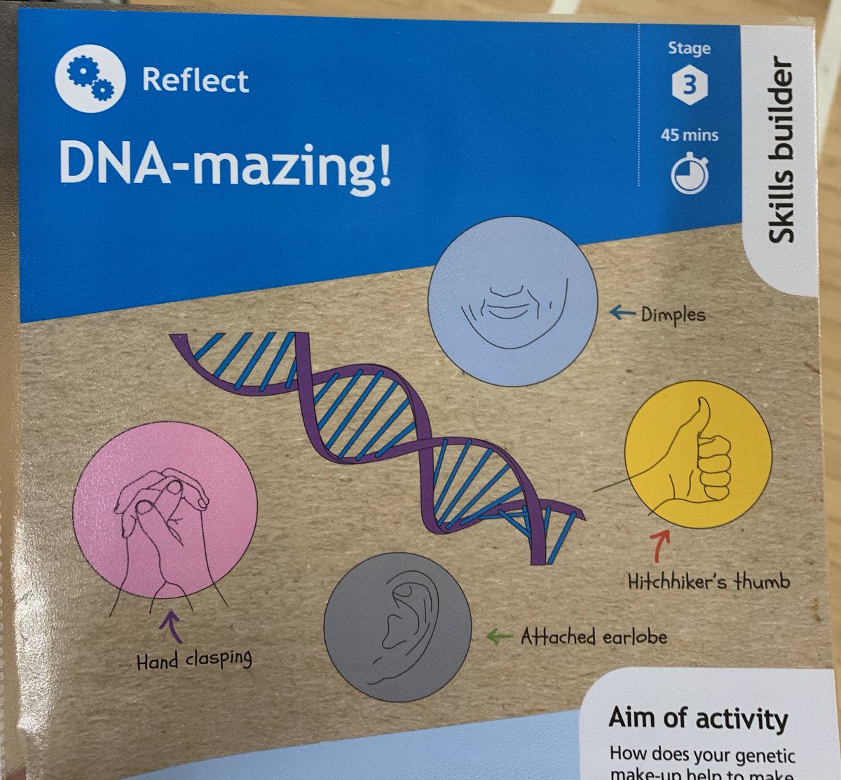  We did 3 activities with Helen last Monday, using a mix of UMAs and SBs, and Harry Potter characters as examples  1. Learnt about our DNA codes  2. Reflected on our reflections 3. Learnt about our different traits and characteristics 