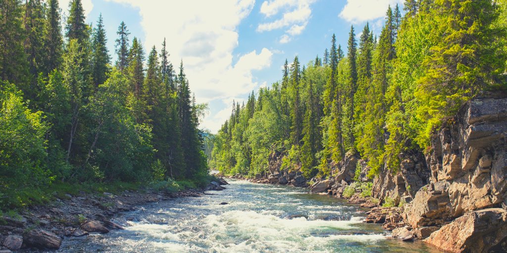 Magnesium:

- lowers your blood pressure 
- Builds neurotransmitters (mood)
- repairs DNA
- contracts your muscles
- converts your food to energy
- stabilizes your blood sugar
- extinguishes inflammation
- enhances your sleep quality 

So why aren’t all doctors prescribing it?