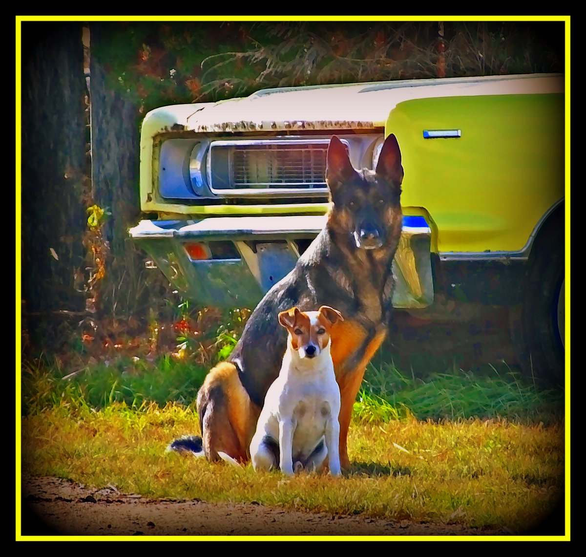 "Frankie Wanted a Portrait" - Watercolor - along the Dawson Trail in La Coulee, Manitoba #doggos #dogs #DawsonTrail #DawsonRoad #LaCoulee #SteAnneRM #Manitoba #Southeast #Eastman #Fall2020 #Autumn2020 #October2020 #Watercolor #watercolorart #photoart #car #Rambler #Rebel #retro https://t.co/SrcllCVGtA