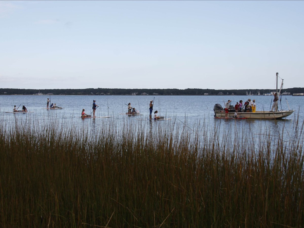 paddlediva's tweet photo. 10/22 Oyster Seeding Paddle &amp; More! - https://t.co/D7pVHsR447 https://t.co/8UvuwQRJk0