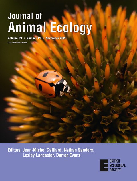 10secrule's tweet photo. New issue of @AnimalEcology is out. Like the cover? Itโs a photo of a rare ninespotted lady beetle that I snapped a while back for the #lostladybugproject https://t.co/Q0oRiZ0YQu