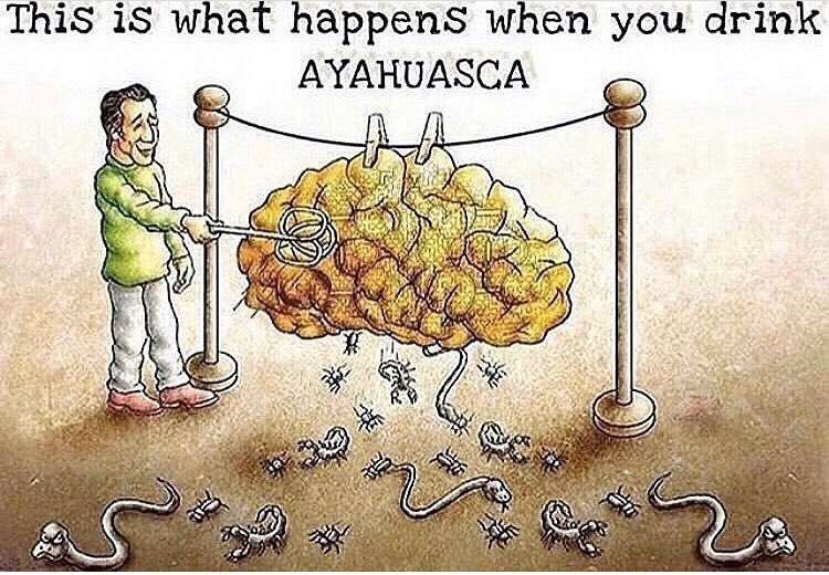 dmtwor1d (@dmtwor1d) on Twitter photo 