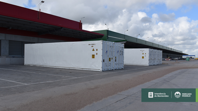 UAM_UY's tweet photo. ¡El nuevo Mercado Modelo cuenta con servicio de frío! ❄️

A un costo inferior al actual, está ubicado en el ala sur del Mercado Polivalente.

A los interesados en utilizar este servicio, les solicitamos comunicarse al WhatsApp 099 250 622 📲

¡El Mercado se transforma! 🌱 https://t.co/BOTLzcrt9u