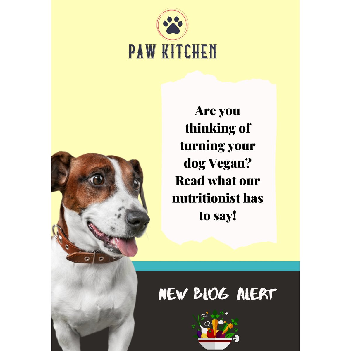 pawkitchen's tweet photo. Are you thinking of turning your dog Vegan? Read what our nutritionist has to say!

https://t.co/aaEaxRwPiQ

#pawkitchen #pawkitchenuae #buildingstrongerfamilies #excitedforthefuture #dogsofabudhabi #dogsofuae #veganfood #highdigestibl #healthy #balancedfood #healthypet # https://t.co/LxJ3feNekG
