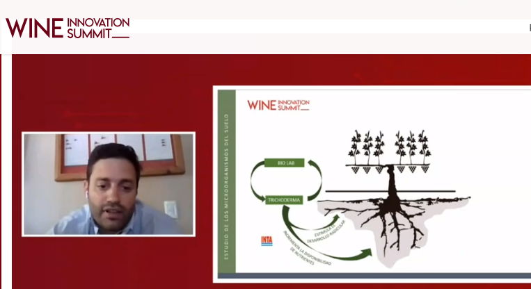 ElagoraAr's tweet photo. VIVO: @wine_summit ahora@Pedrobonoris de @TriventoArg expone el Programa de Nutrición de la Vid de bodega sobre el proceso de vermicompostaje a base de mosto para utilizar en plantaciones nuevas incorporandolo  de manera líquida por riego por goteo. https://t.co/NSyceqxMU3