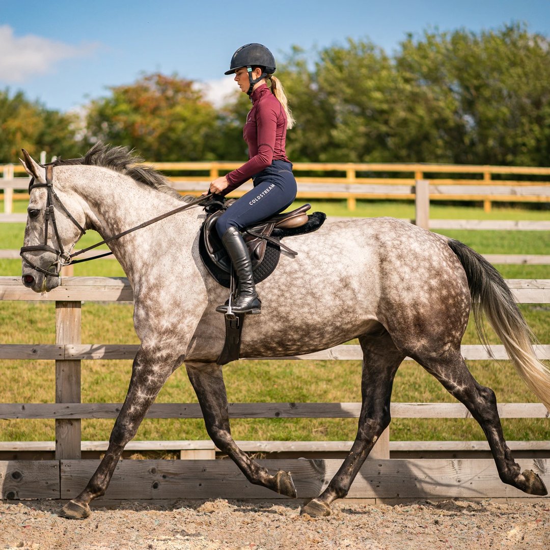 EquusEngland's tweet photo. Soft and comfortable, the Hy Coldstream Lennel Base Layer is lovely for riding and everyday wear and is available in a range of smart colours.
Shop Now - https://t.co/Evt7GApCCS
#equus #equusengland https://t.co/H5K4q6T9me