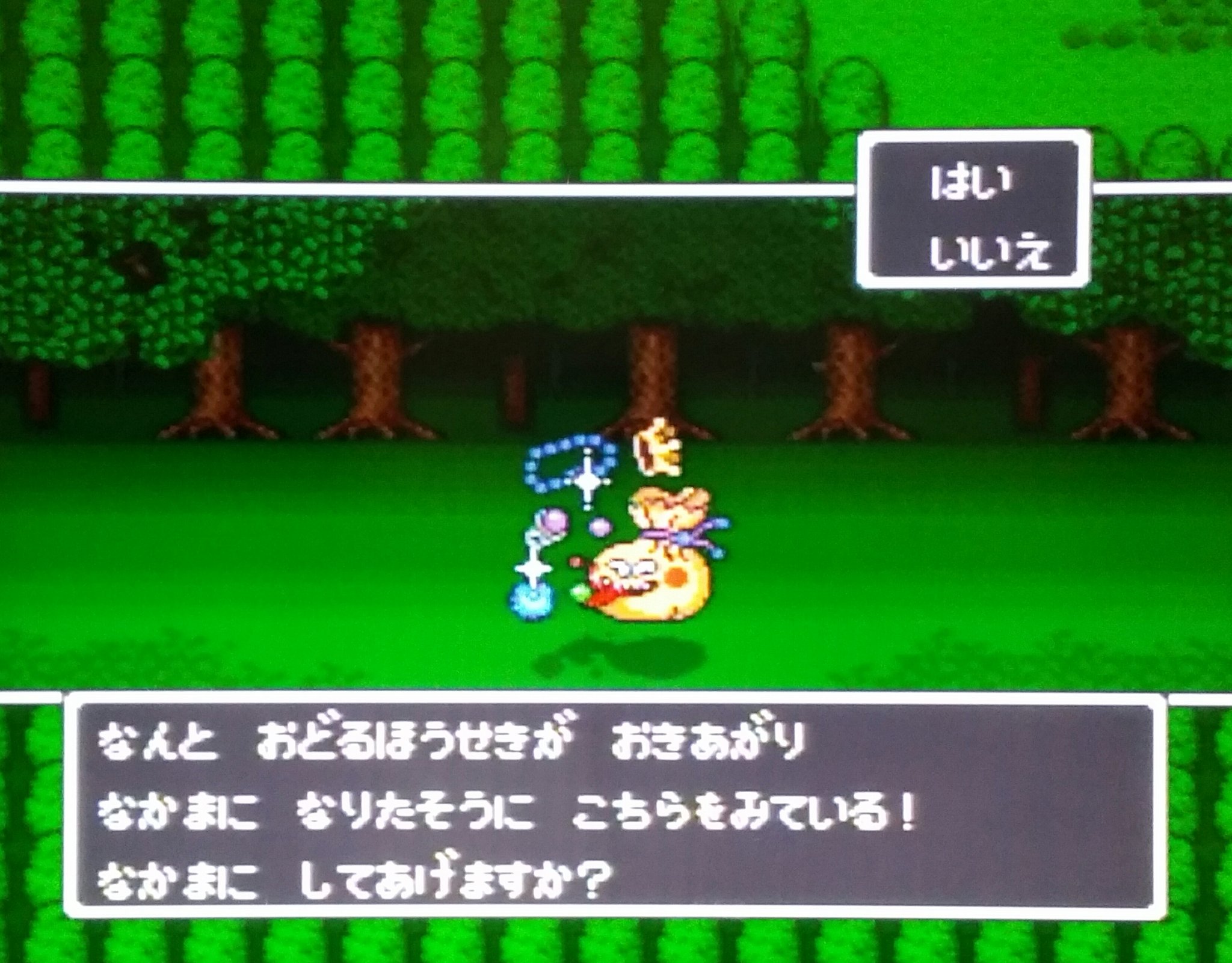 りぶら ドラクエ 今日はメガザルロックと おどるほうせきが メンバーに加わりました やったー 人 迷いの森の周りを ずっとぐるぐるしてました これであとはヘルバトラーですね 戦いが終わったあとのちっちゃい三角が出たときの嬉しさ