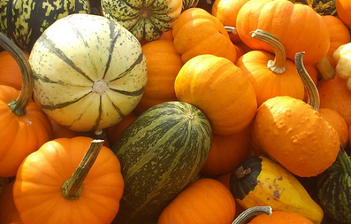 ComunediGenova's tweet photo. 📌Da sabato 7 a domenica 15 novembre la 34esima mostra Dalla A… alla #Zucca di #Murta esclusivamente #online #eventovirtuale
Qui i dettagli 👉https://t.co/RKb4rpxrmO https://t.co/4veSa5ktiH
