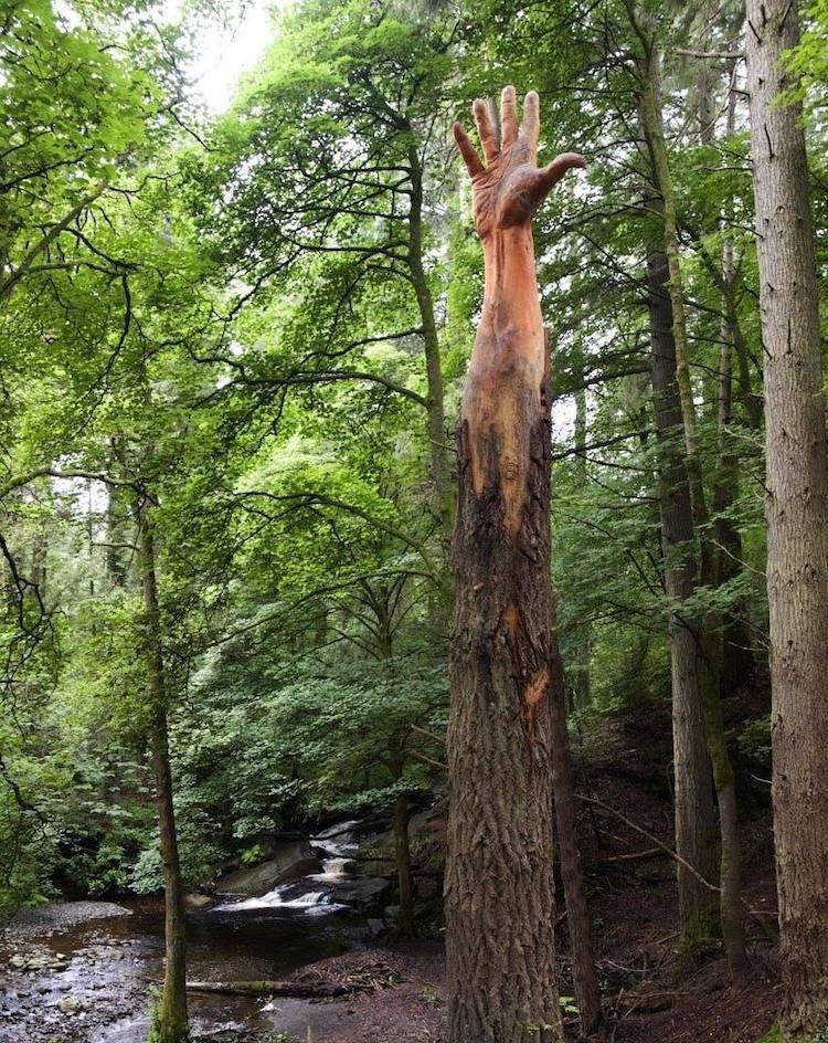 creapills's tweet image. L'artiste Simon O'Rourke a transformé un arbre endommagé en bras qui tend sa main vers le ciel. Admirez le travail 👏

Son Twitter : @treecarving