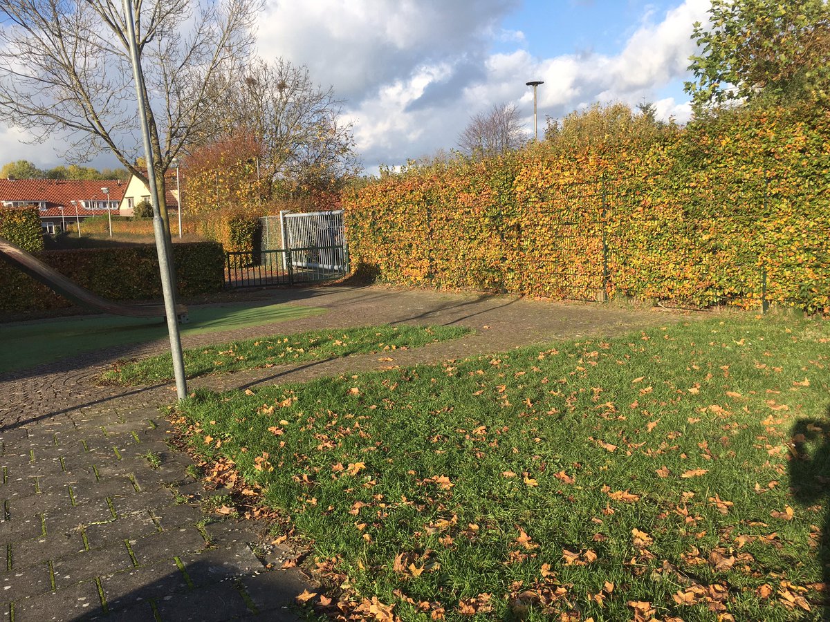 netnietnet's tweet photo. @gem_Zutphen hoe fijn zou het zijn om nog een bankje in de kleine speeltuin aan de Sonsvelthof te krijgen voor het najaarszonnetje. 🤗 https://t.co/Es4ILS1mFw