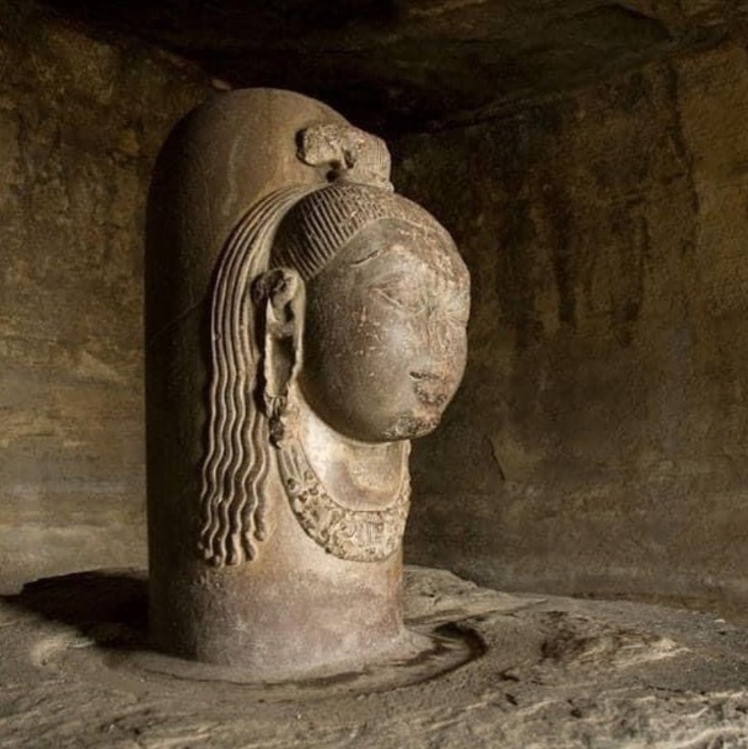 Rohini Mithra tweet media