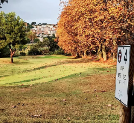 PolaceGolf's tweet photo. Nos encanta ver nuestros productos por todos los campos de golf......@PitchTeia, gracias por confiar en @PolaceGolf ,
mucha fuerza, que todos juntos saldremos adelante!!!!!
#Golf #ilovegolf #golfcourse #greenkeeper #golfspain #golfsignals #golfsponsors #torneosgolf https://t.co/F5goM0YbMe