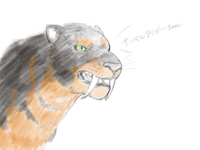 サーベルタイガーのtwitterイラスト検索結果 古い順 サーベルタイガーのtwitterイラスト検索結果 古い順