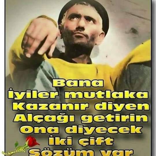 Aynen öyle.benimde diyeceklerim var...