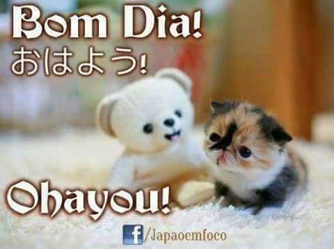 Enos Mendes on Twitter: Enos Mendes on Twitter: