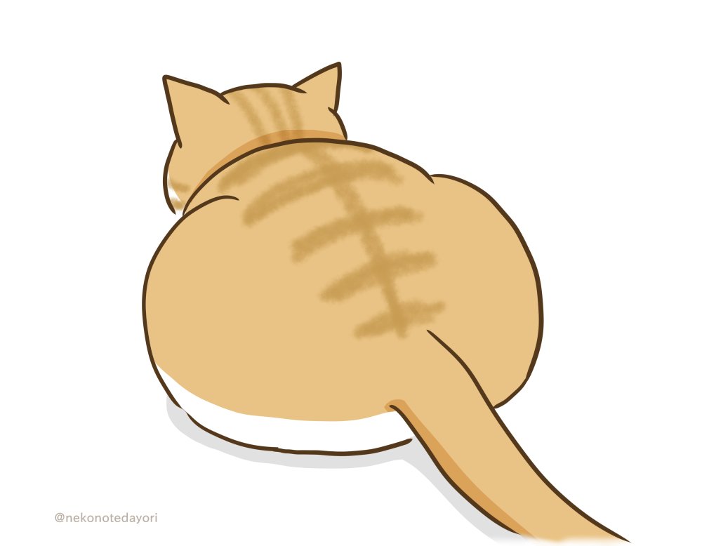 nekonotedayori's tweet photo. #いいおしりの日 

今日だけ特別だぞ。 https://t.co/NgXQcuECJV