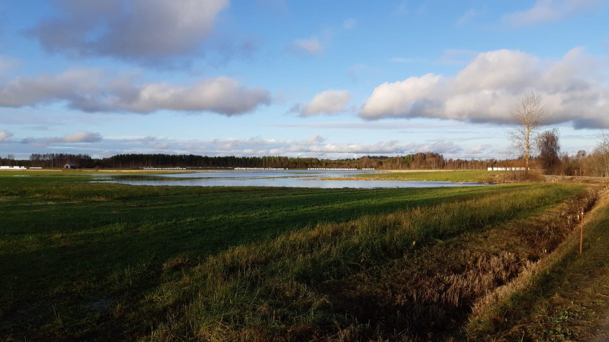 elinvoimak_EP's tweet photo. Lokakuun #vesitilannekatsaus: Syyssateet toivat pieniä tulvia mukanaan. Lokakuun sateet saivat pohjalaisjokien #virtaama't ja järvien vedenpinnat vähitellen nousuun https://t.co/u3dLInLad0 #ELYkeskus #vesitilanne https://t.co/fUIzQUFkX2