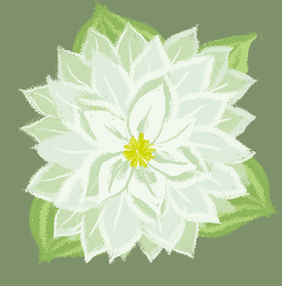 元気の花いっぱいでのtwitterイラスト検索結果 元気の花いっぱいでのtwitterイラスト検索結果
