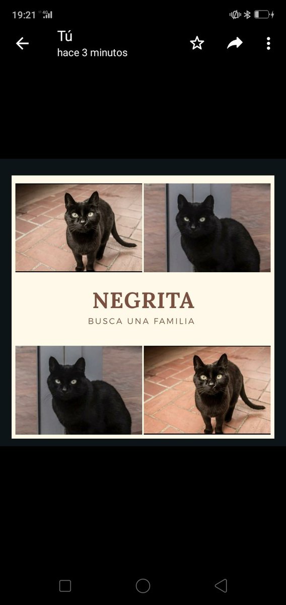 SOS BDN (@sosbadalona) on Twitter photo 