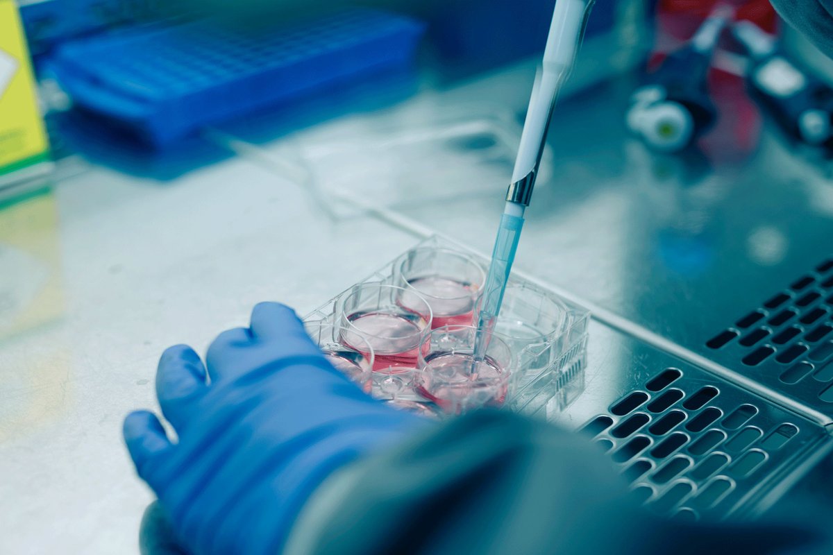 Hull York Medical School tweet media