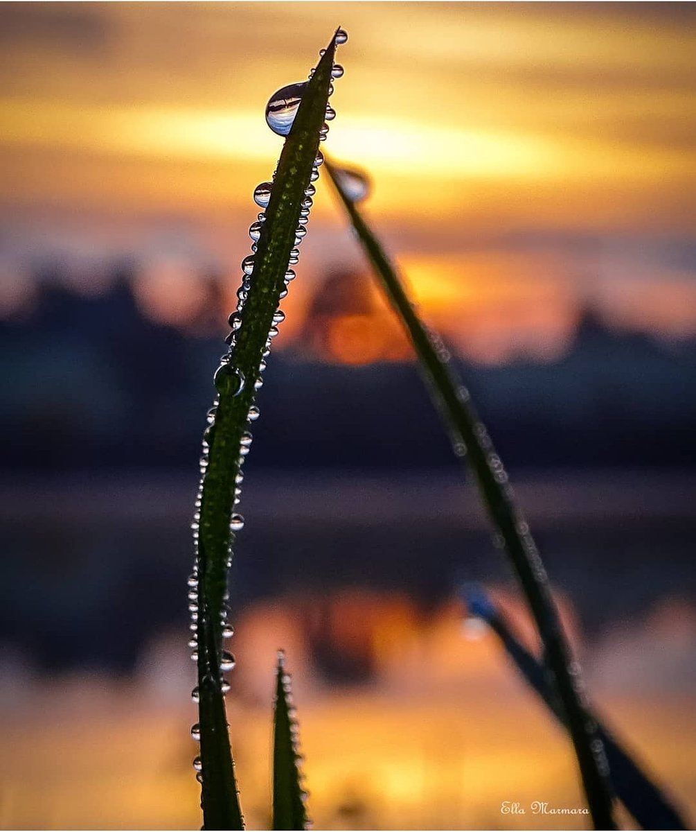 igersbourgogne's tweet photo. Le coup de 🧡 de la team @igersbourgogne 🐌
Aujourd'hui, un peu de douceur💕 avec cette #rosee matinale capturée au barrage de la #Sorme 💛🧡😍
Superbe 📷 @ellamarmara !! 😍🔝
Vous aussi 👉 #igersbourgogne pour être sélectionné 😘 https://t.co/k1leES5uoM