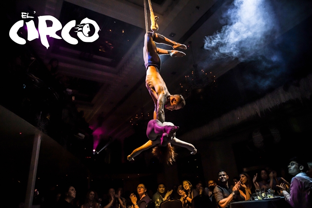Watch the #show from your dining table and enjoy full table service throughout the night. #circus #whatson @slidesydney whatsonsydney.com/events/food-dr…