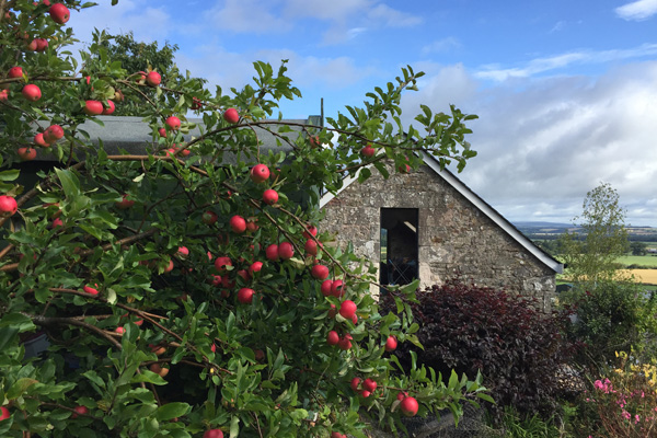 StirlingSelfCatering tweet media
