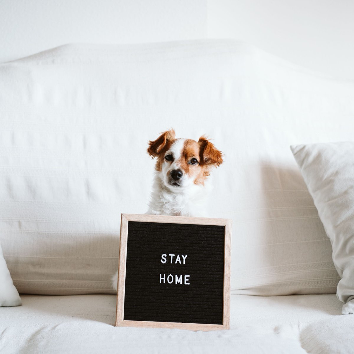 As we prepare for a month of #lockdown in England, we're thinking of all of our members who are having to close and all visitors who have had to postpone their trips to this beautiful part of the country. We look forward to welcoming you soon but for now, #stayhome + stay safe.