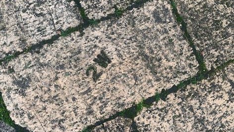 RobertElms's tweet photo. Our second #NotesandQuery is from Luke.
Whilst running around the Buddhist Temple in #batterseapark he noticed some little letters on some of the paving bricks; W, W1, W2, 2W and most intriguing, another hand drawn W2. Do any listeners know what they mean? https://t.co/LQ501vdO41