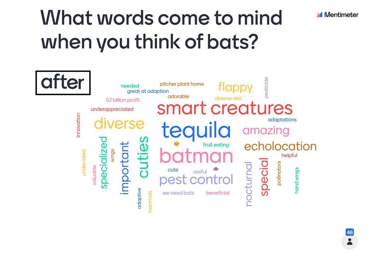 I wish the whole world knew how important bats are in ecosystems worldwide 🌎 It was super fun presenting for @Berlepschia's @UofT seminar course. Great audience! I asked them a simple ❓ before and after the talk.. what an overwhelming change in responses! #scicomm #batsarecool