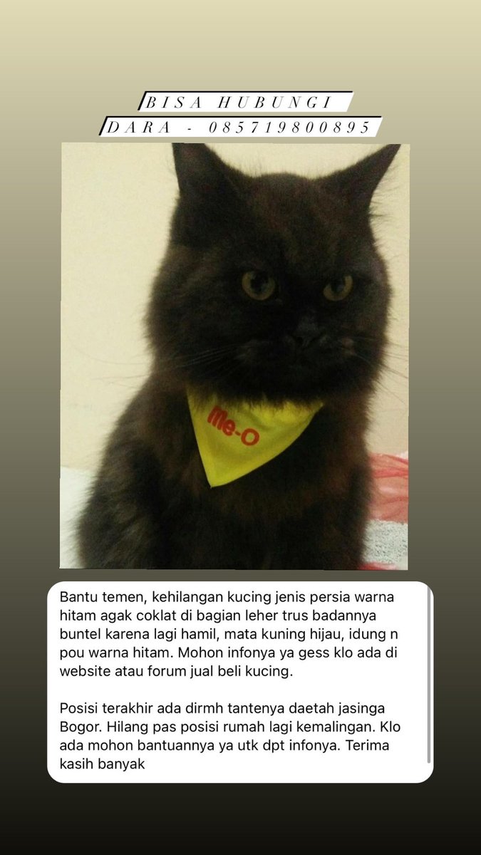 Icha tweet media