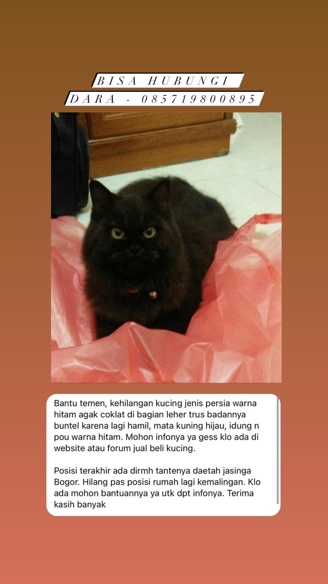 Icha tweet media