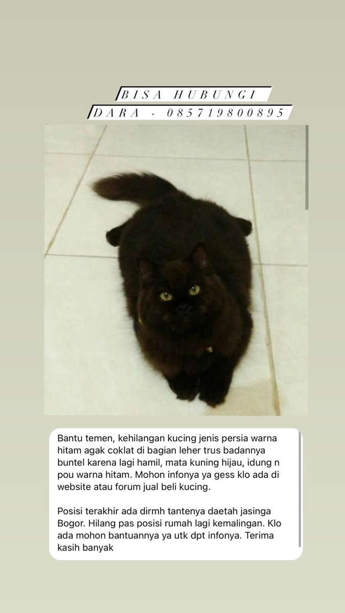 Icha tweet media