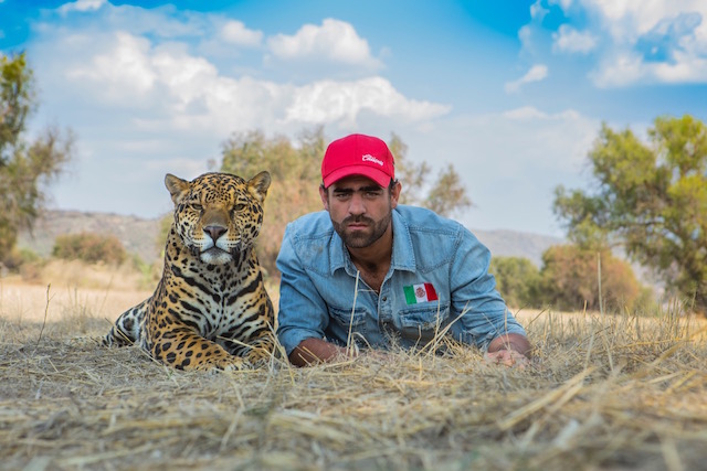 VUELVE SUNCINE, EL FESTIVAL INTERNACIONAL DE CINE DEL MEDIO AMBIENTE

Entre las proyecciones especiales destaca el estreno en España “Akashinga, the braves one” (de National Geographic Documentary Movies), producido por James Cameron.

destinos.elperiodico.com/vuelve-suncine…

<a href="/suncinefest/">🔆 SUNCINE</a>