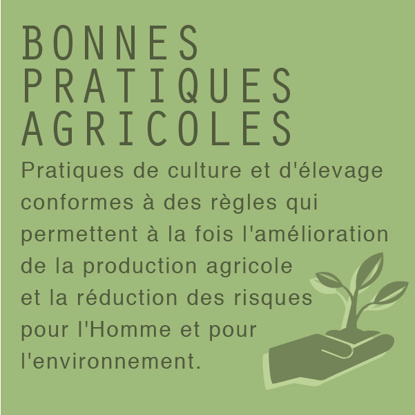 La définition du jour : Les bonnes pratiques agricoles 🚜🚜🚜
#agriculture 
blogresonnances.fr/bonnes-pratiqu…