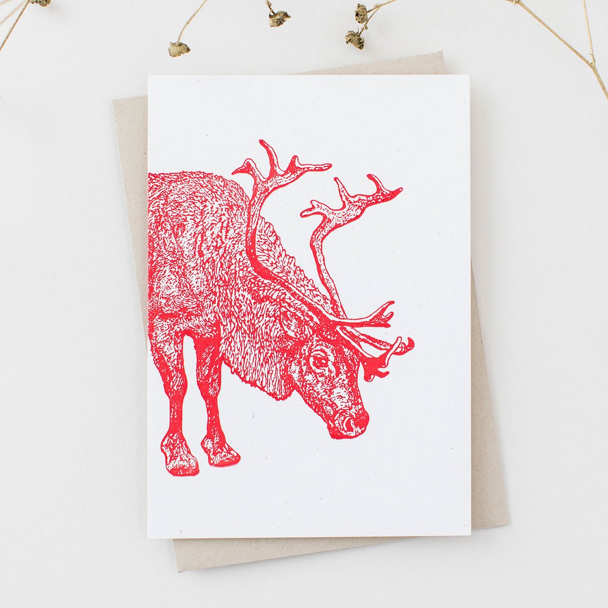 Pt_Ourse's tweet photo. Reprinted &amp; back in stock! Das rote Rentier ist zurück – handgedruckt vom Magnesiumklischee.

Jetzt bestellen unter https://t.co/LJJ4FVyuB9 …

#reprint #backinstock #cliché #christmascards #reindeer #studio #werkstatt #paperlove #letterpress #printing #handmade #petiteourse https://t.co/XNRb32ZMI0