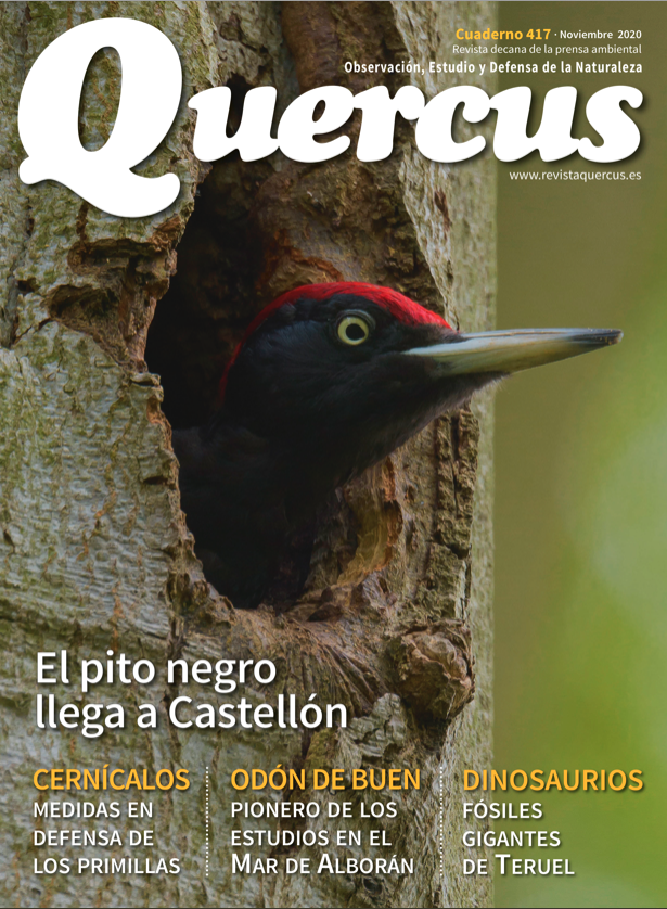 DEMA_ONG's tweet photo. Nos colamos en el último número de la @RevistaQuercus con acreditación especial de ‘Amigos del Cernícalo Primilla’😁
Gracias por hacer difusión de proyectos como el nuestro y por poner el foco en la situación tan  problemática que atraviesa la especie https://t.co/va5fPsUalj